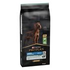Purina Pro Plan Dog Adult Large Athletic Sensitive Digestion Agnello 14 kg