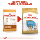 Royal Canin Dog Puppy Labrador Retriver 12 kg