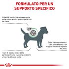 Royal Canin Veterinary Diet Small Dog Satiety Weight Management 1,5 kg