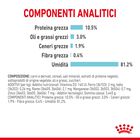 Royal Canin Cat Adult Sensory Feel Jelly 85 gr Royal Canin Cat Adult Sensory Feel Jelly 85 gr