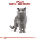 Royal Canin Cat Adult British Shorthair 2 kg