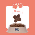 Monopro Dog Adult Mini Grain Free Salmone 800 gr