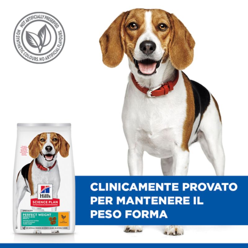 Hill's Science Plan Dog Perfect Weight Medium con Pollo 12 kg