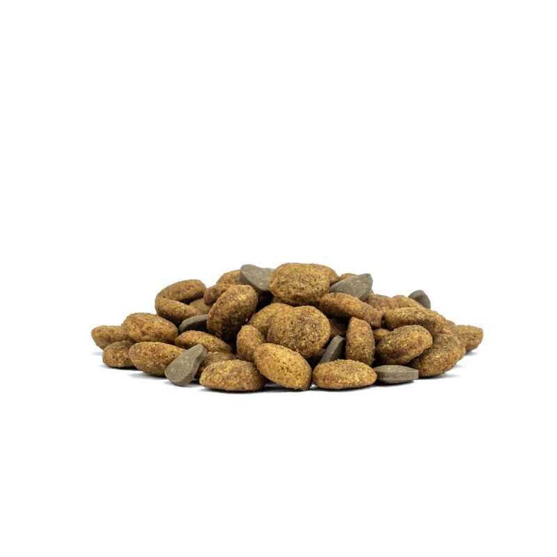 Forza10 Active Vet Diet Dog Adult Mini&Toy Periaction 1,5kg