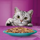 Whiskas Pranzetti Pesce in Salsa con Salmone e Tonno 6x50gr