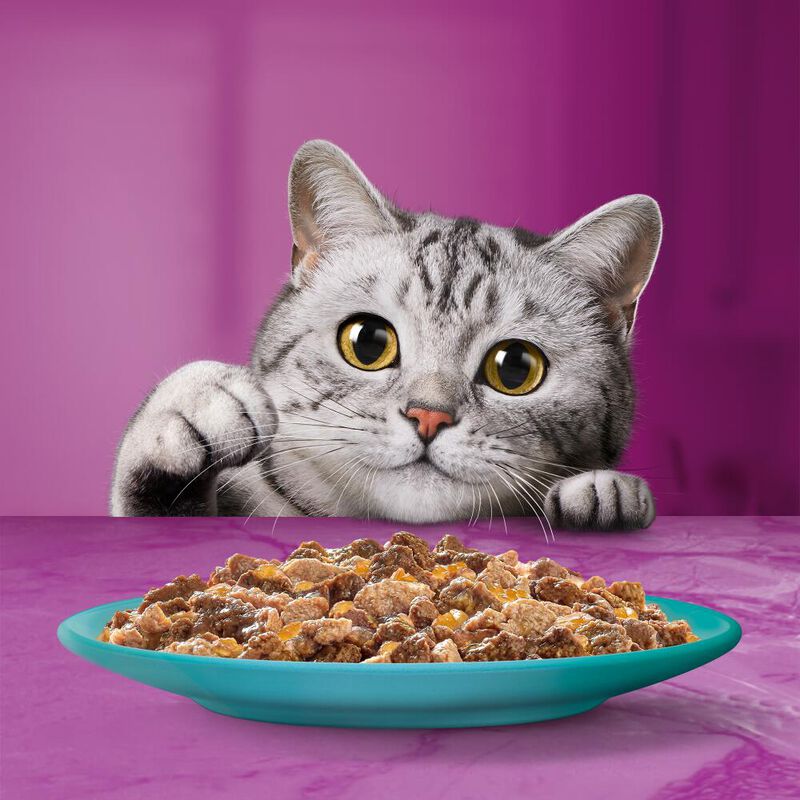 Whiskas Pranzetti Pesce in Salsa con Salmone e Tonno 6x50gr