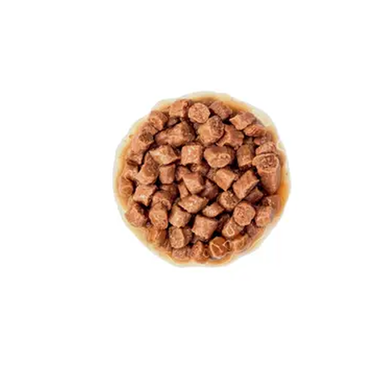 Royal Canin Cat Kitten Salsa 85 gr