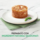 Gourmet Nature's Creation Fiocchi di Tonnetto in gelée con Pesce bianco 70gr