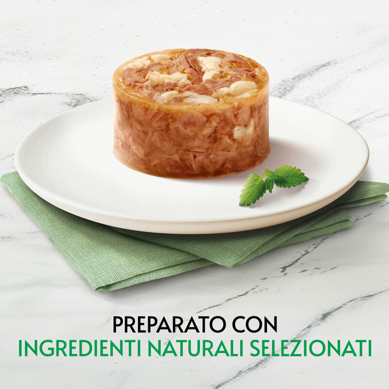 Gourmet Nature's Creation Fiocchi di Tonnetto in gelée con Pesce bianco 70gr