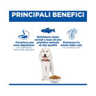 Hill's Science Plan Dog Adult Hypoallergenic con Salmone 363gr