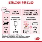 Royal Canin Kitten in Salsa 85 gr