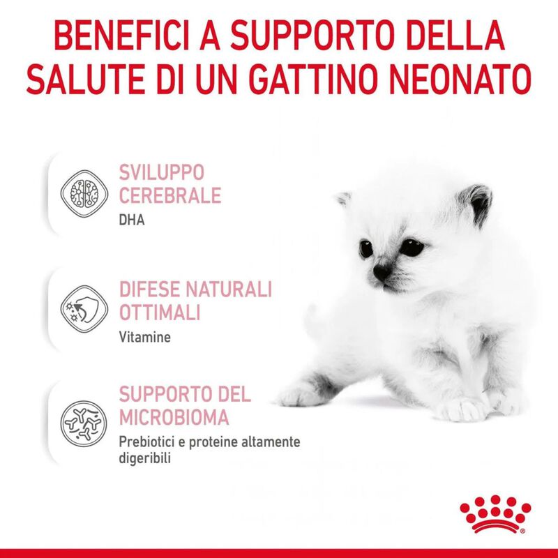 Royal Canin BabyCat Kitten Milk 300 gr - Scad. Gennaio 26