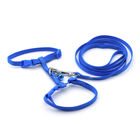 Petup Pettorina con Guinzaglio 13mm Blu