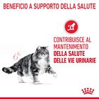 Royal Canin Cat Adult Urinary Care 400 gr