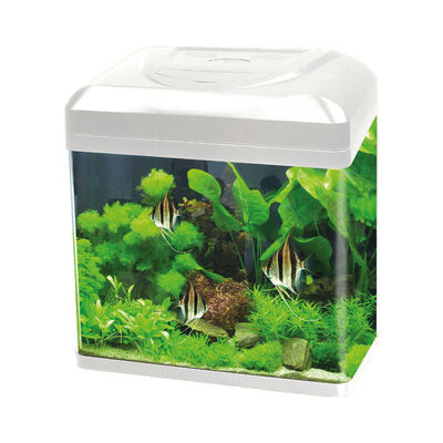 Blu Bios Acquario Billy 30 lt bianco