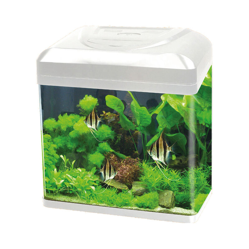 Blu Bios Acquario Billy 30 lt bianco