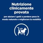 Hill's Prescription Diet Alimento umido per gatti adulti con Pollo 12 pz