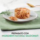 Gourmet Nature's Creations Fiocchi di Tonnetto in Gelèe con Gamberetti 70gr