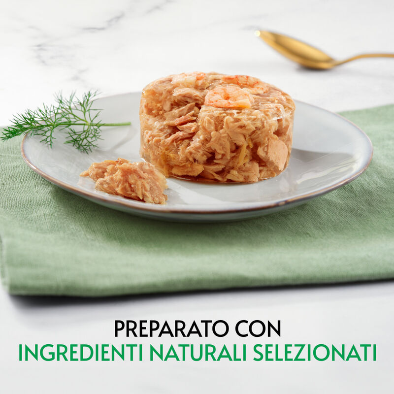 Gourmet Nature's Creations Fiocchi di Tonnetto in Gelèe con Gamberetti 70gr
