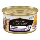 Purina Pro Plan Kitten Healthy Start Mousse con Pollo 85 gr