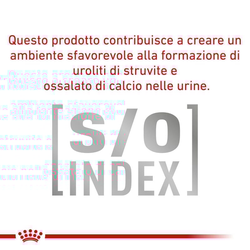 Royal Canin Veterinary Diet Dog Sensitivity Pollo e Riso 420 gr