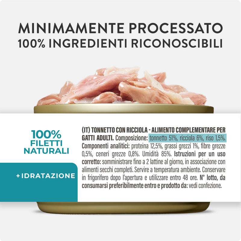Schesir Cat Jelly Tonnetto con Ricciola 70g