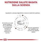 Royal Canin Veterinary Diet Dog Adult Gastrointestinal Moderate Calorie 15 kg