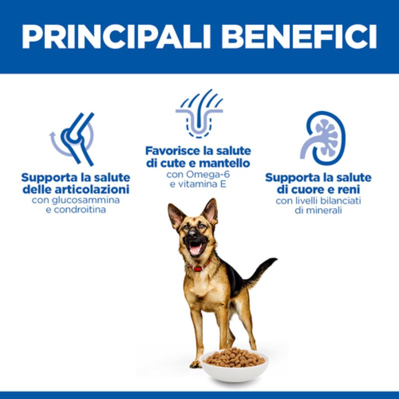 Hill's Science Plan Dog Large Breed Mature Adult 6+ con Pollo 12 kg