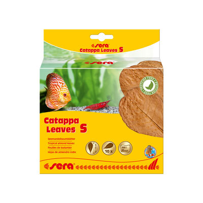 Sera Catappa Leaves foglie di Mandorlo Indiano S 10pz