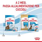 Royal Canin Maxi Starter Mother&Babydog 4 Kg