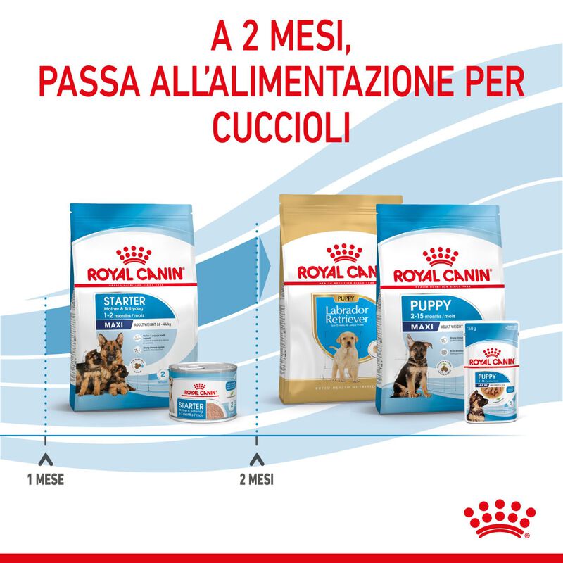 Royal Canin Maxi Starter Mother&Babydog 4 Kg