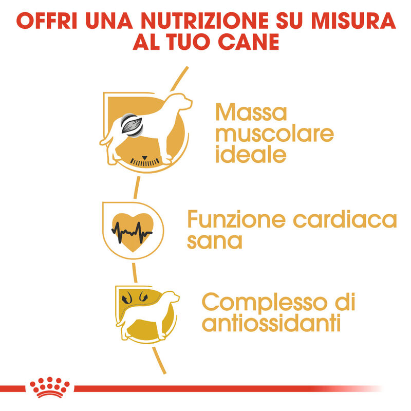 Royal Canin Dog Adult e Senior Boxer 3 kg - Scad. Dicembre 25