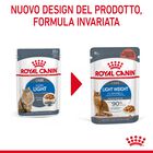 Royal Canin Cat Adult Light Weight in Gelatina 85gr