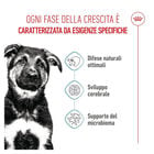 Royal Canin Puppy Maxi 3kg