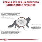 Royal Canin Veterinary Diet Cat Gastrointestinal Moderate Calorie 400 gr
