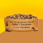 Friskies Cat Adult con Mix di Pollo e Tacchino e con Verdure 2 kg