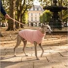  Camon Maglioncino per cani tg. 30 Rosa