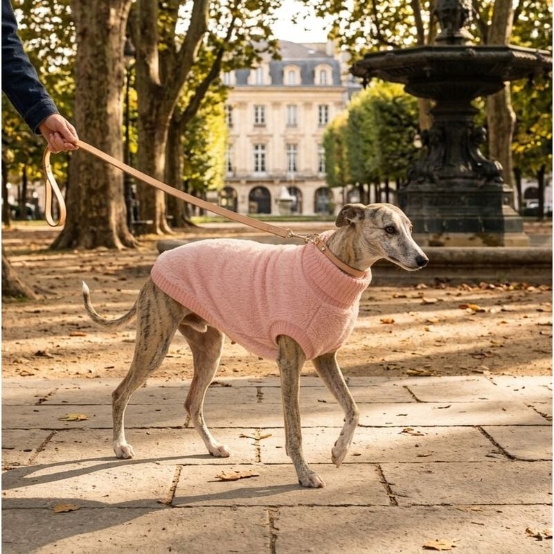  Camon Maglioncino per cani tg. 30 Rosa