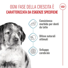 Royal Canin Dog Medium Puppy 140 gr