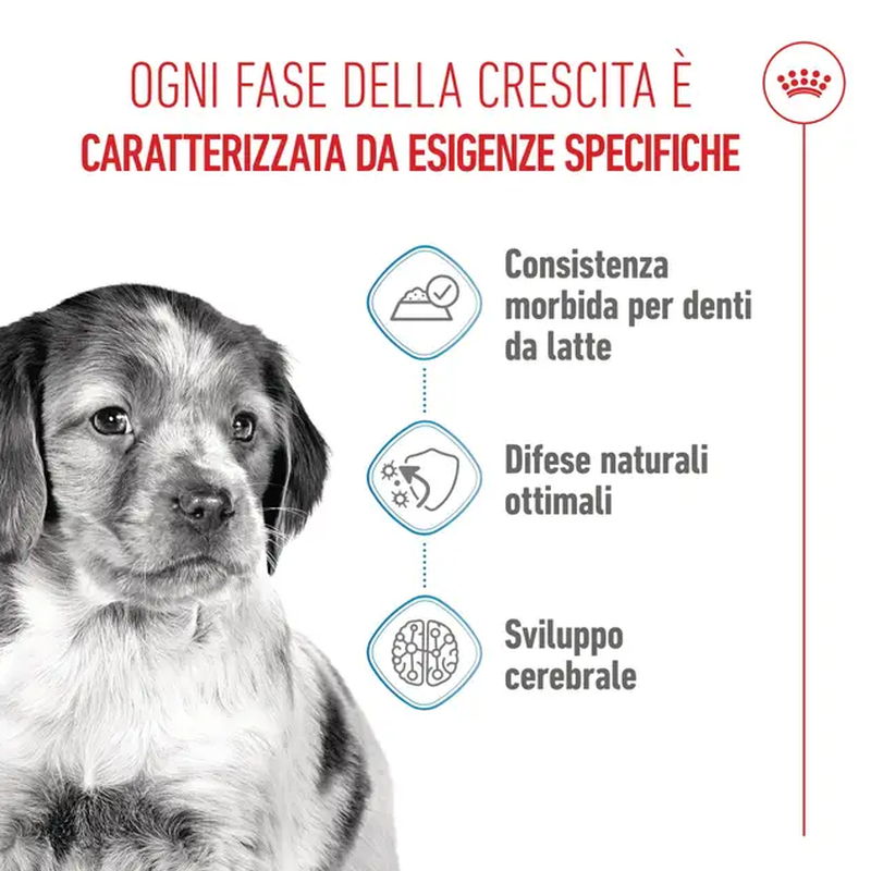 Royal Canin Dog Medium Puppy 140 gr