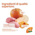 N&D Farmina Pumpkin Dog Adult Mini Cinghiale e Mela 7 kg