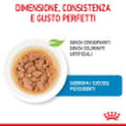 Royal Canin Dog Medium Puppy 140 gr