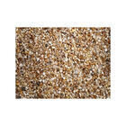 Askoll Pure Sand Aurum - Sabbia Decorativa Naturale per Acquari d'Acqua Dolce