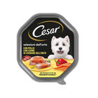 Cesar Dog Selezioni dell'Orto Patè con Gustoso Pollo e Cuore di Verdure 150 gr image number 0
