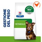 Hill's Prescription Diet Dog Metabolic con Pollo 4 kg