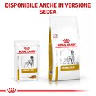 Royal Canin Veterinary Diet Dog Urinary S/O 12x100 gr