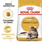 Royal Canin Cat Adult Maine Coon 2 kg
