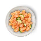 Terra Felis Famousse Cat Adult Salmone 80 gr