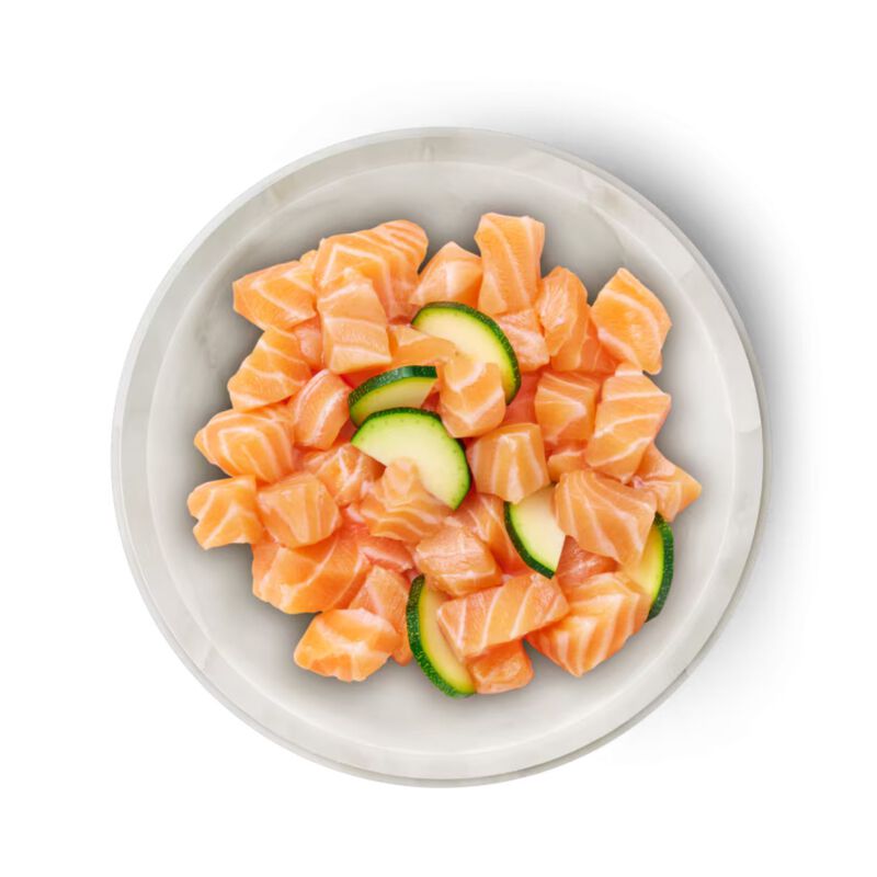 Terra Felis Famousse Cat Adult Salmone 80 gr