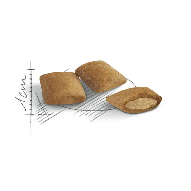 Royal Canin Cat Senior Ageing 12+ 400 gr